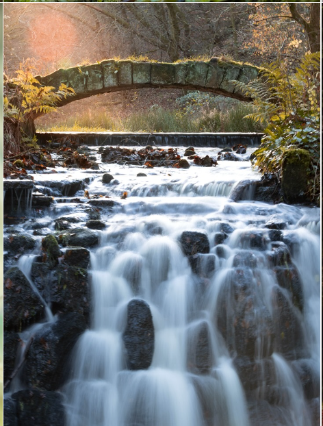 Woodland stream beneath a stone bridge